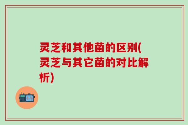 灵芝和其他菌的区别(灵芝与其它菌的对比解析)