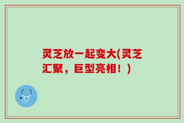 灵芝放一起变大(灵芝汇聚，巨型亮相！)