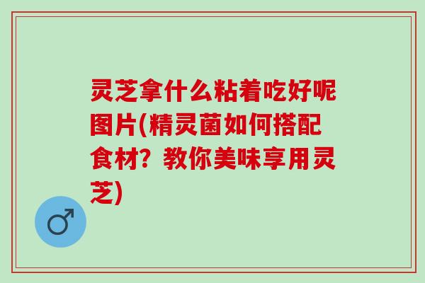 灵芝拿什么粘着吃好呢图片(精灵菌如何搭配食材？教你美味享用灵芝)