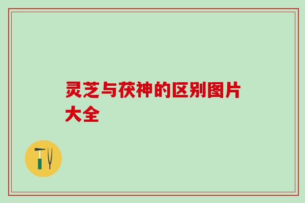灵芝与茯神的区别图片大全