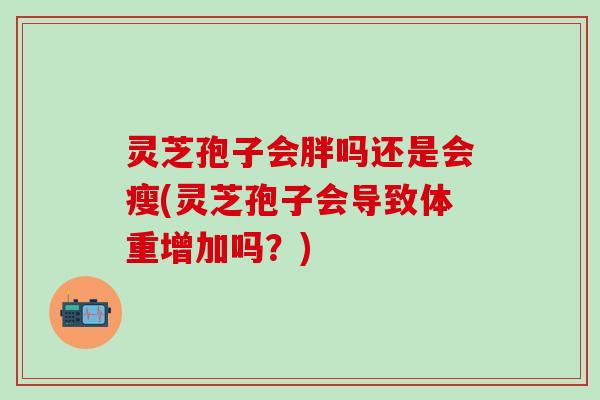 灵芝孢子会胖吗还是会瘦(灵芝孢子会导致体重增加吗？)