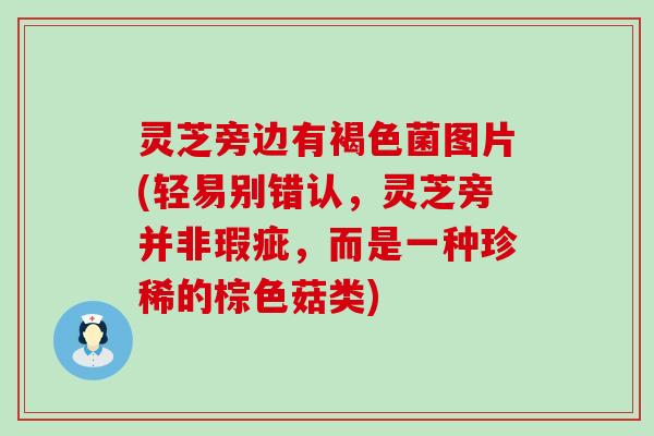 灵芝旁边有褐色菌图片(轻易别错认，灵芝旁并非瑕疵，而是一种珍稀的棕色菇类)