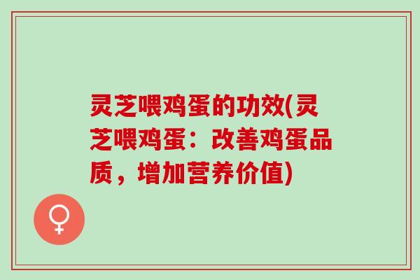 灵芝喂鸡蛋的功效(灵芝喂鸡蛋：改善鸡蛋品质，增加营养价值)