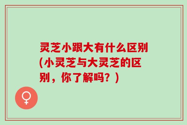 灵芝小跟大有什么区别(小灵芝与大灵芝的区别，你了解吗？)