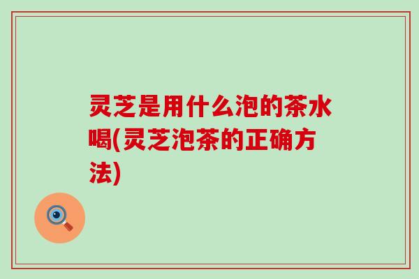 灵芝是用什么泡的茶水喝(灵芝泡茶的正确方法)