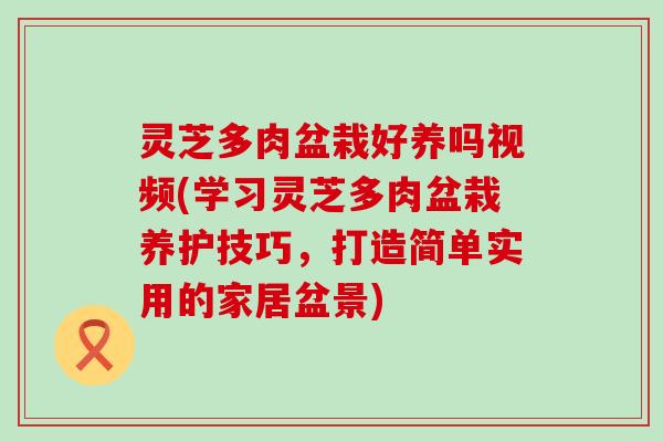 灵芝多肉盆栽好养吗视频(学习灵芝多肉盆栽养护技巧，打造简单实用的家居盆景)