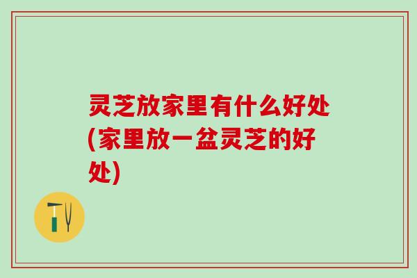 灵芝放家里有什么好处(家里放一盆灵芝的好处)