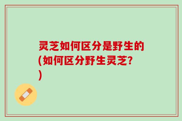 灵芝如何区分是野生的(如何区分野生灵芝？)