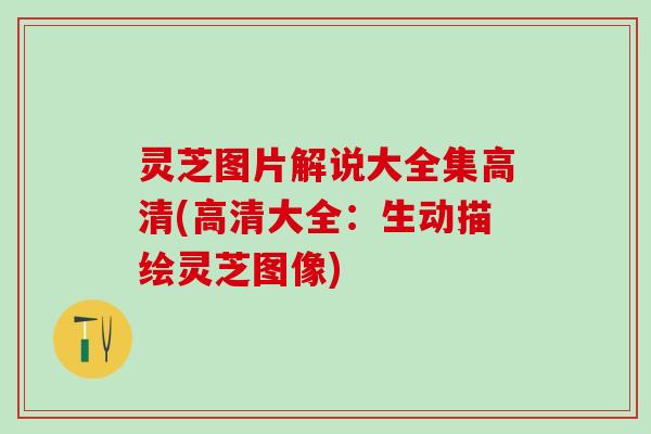 灵芝图片解说大全集高清(高清大全：生动描绘灵芝图像)