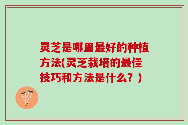 灵芝是哪里最好的种植方法(灵芝栽培的最佳技巧和方法是什么？)