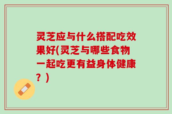 灵芝应与什么搭配吃效果好(灵芝与哪些食物一起吃更有益身体健康？)