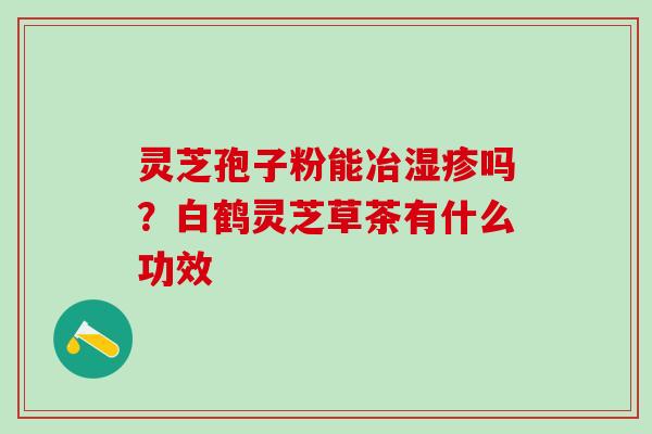 灵芝孢子粉能冶湿疹吗？白鹤灵芝草茶有什么功效