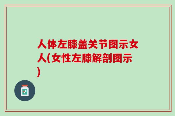 人体左膝盖关节图示女人(女性左膝解剖图示)