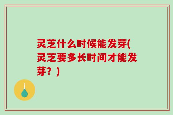 灵芝什么时候能发芽(灵芝要多长时间才能发芽？)