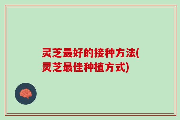 灵芝最好的接种方法(灵芝最佳种植方式)