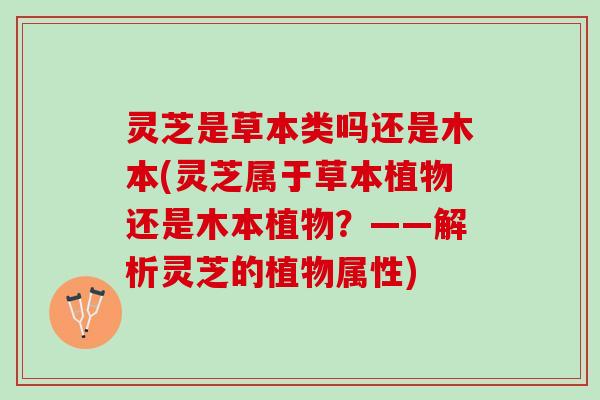 灵芝是草本类吗还是木本(灵芝属于草本植物还是木本植物？——解析灵芝的植物属性)