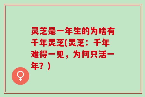 灵芝是一年生的为啥有千年灵芝(灵芝：千年难得一见，为何只活一年？)