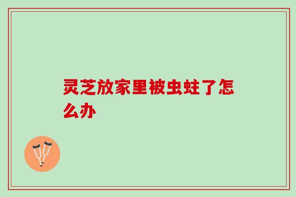 灵芝放家里被虫蛀了怎么办