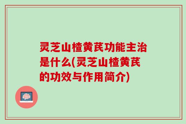 灵芝山楂黄芪功能主治是什么(灵芝山楂黄芪的功效与作用简介)
