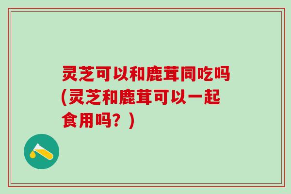 灵芝可以和鹿茸同吃吗(灵芝和鹿茸可以一起食用吗？)