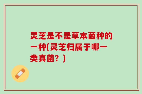 灵芝是不是草本菌种的一种(灵芝归属于哪一类真菌？)