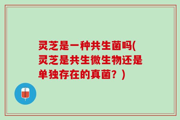 灵芝是一种共生菌吗(灵芝是共生微生物还是单独存在的真菌？)