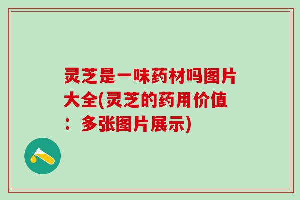 灵芝是一味药材吗图片大全(灵芝的药用价值：多张图片展示)