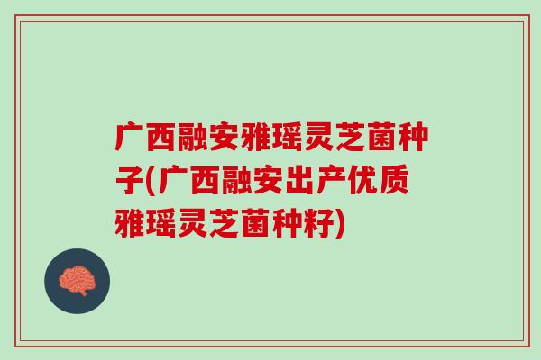 广西融安雅瑶灵芝菌种子(广西融安出产优质雅瑶灵芝菌种籽)