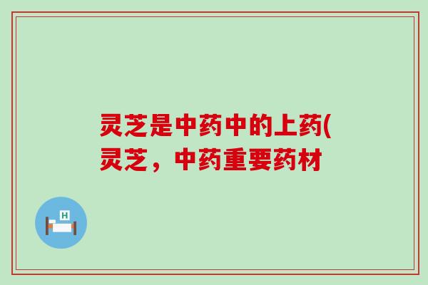 灵芝是中药中的上药(灵芝，中药重要药材