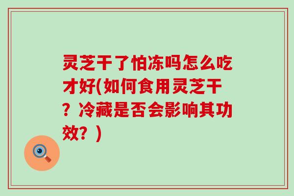 灵芝干了怕冻吗怎么吃才好(如何食用灵芝干？冷藏是否会影响其功效？)