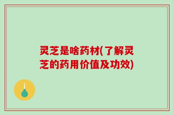 灵芝是啥药材(了解灵芝的药用价值及功效)