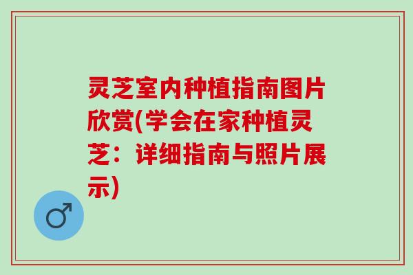 灵芝室内种植指南图片欣赏(学会在家种植灵芝:详细指南与照片展示) 灵芝室内种植指南图片欣赏(学会在家种植灵芝:详细指南与照片展示)