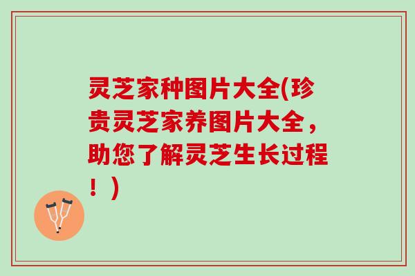 灵芝家种图片大全(珍贵灵芝家养图片大全，助您了解灵芝生长过程！)