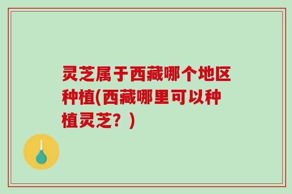 灵芝属于西藏哪个地区种植(西藏哪里可以种植灵芝？)