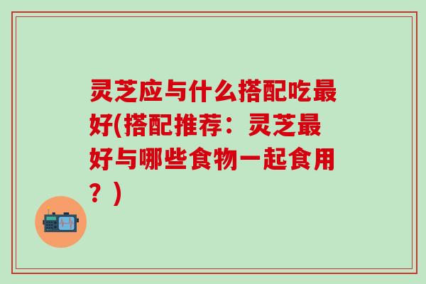 灵芝应与什么搭配吃最好(搭配推荐：灵芝最好与哪些食物一起食用？)