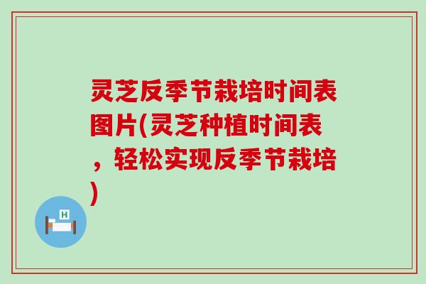 灵芝反季节栽培时间表图片(灵芝种植时间表,轻松实现反季节栽培) 灵芝反季节栽培时间表图片(灵芝种植时间表,轻松实现反季节栽培)