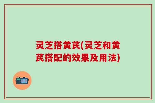 灵芝搭黄芪(灵芝和黄芪搭配的效果及用法)