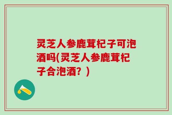 灵芝人参鹿茸杞子可泡酒吗(灵芝人参鹿茸杞子合泡酒？)