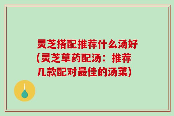 灵芝搭配推荐什么汤好(灵芝草药配汤：推荐几款配对最佳的汤菜)