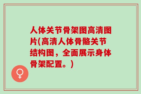 人体关节骨架图高清图片(高清人体骨骼关节结构图,全面展示身体骨架配置。) 人体关节骨架图高清图片(高清人体骨骼关节结构图,全面展示身体骨架配置。)