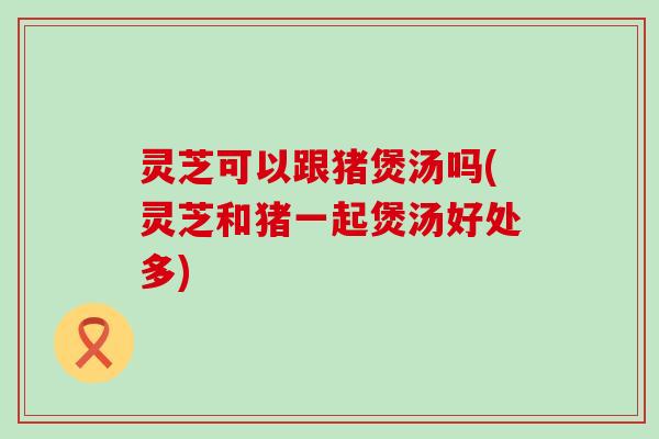 灵芝可以跟猪煲汤吗(灵芝和猪一起煲汤好处多)