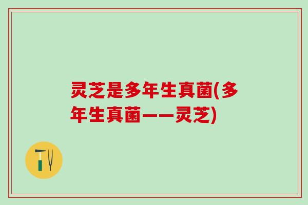 灵芝是多年生真菌(多年生真菌——灵芝)