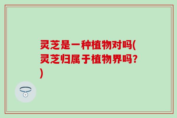 灵芝是一种植物对吗(灵芝归属于植物界吗？)