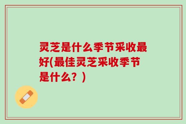 灵芝是什么季节采收最好(最佳灵芝采收季节是什么？)