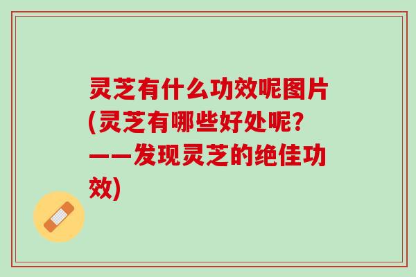 灵芝有什么功效呢图片(灵芝有哪些好处呢？——发现灵芝的绝佳功效)