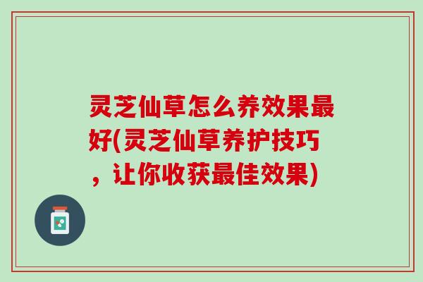 灵芝仙草怎么养效果最好(灵芝仙草养护技巧，让你收获最佳效果)