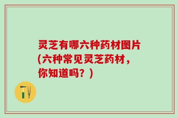 灵芝有哪六种药材图片(六种常见灵芝药材，你知道吗？)
