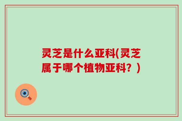 灵芝是什么亚科(灵芝属于哪个植物亚科？)