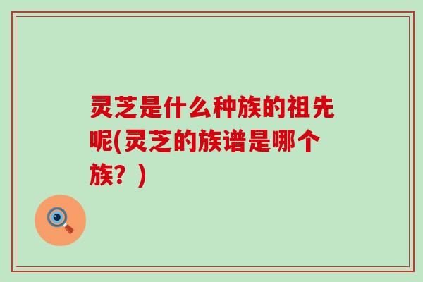灵芝是什么种族的祖先呢(灵芝的族谱是哪个族？)