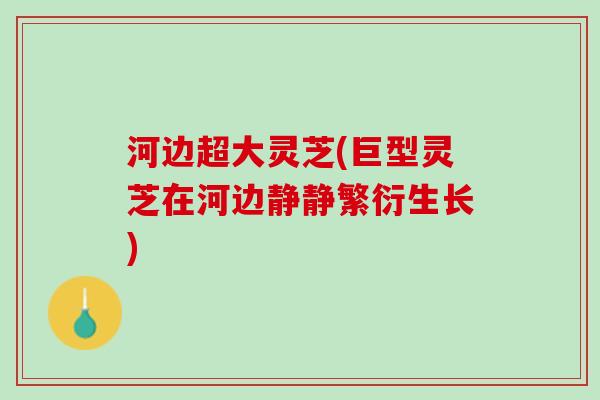 河边超大灵芝(巨型灵芝在河边静静繁衍生长)